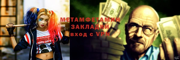 дживик Няндома