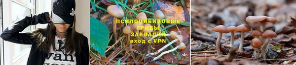 герыч Нягань