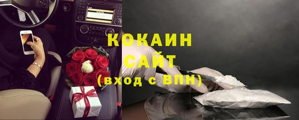 шишки Нязепетровск