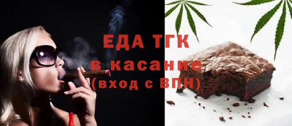 дживик Няндома