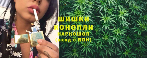 шишки Нязепетровск