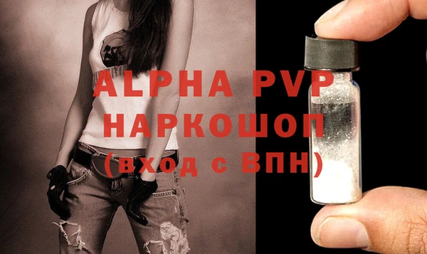 дживик Няндома