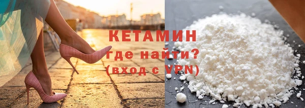 дживик Няндома