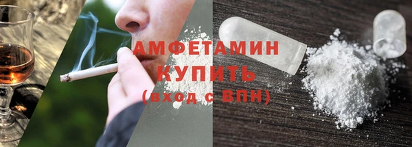 дживик Няндома