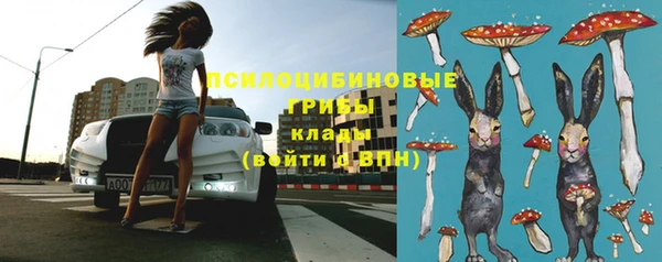 шишки Нязепетровск